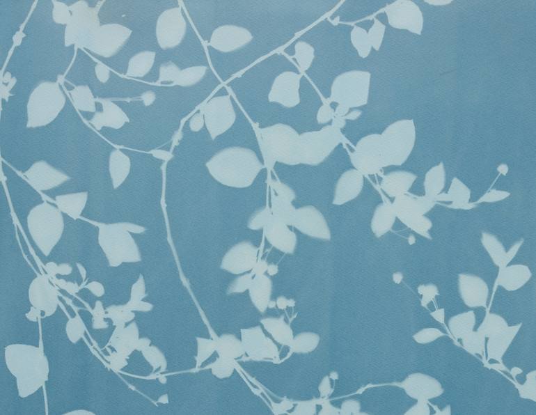 Original Contemporary Botanic Photography by Christine So