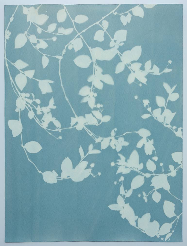 Original Contemporary Botanic Photography by Christine So