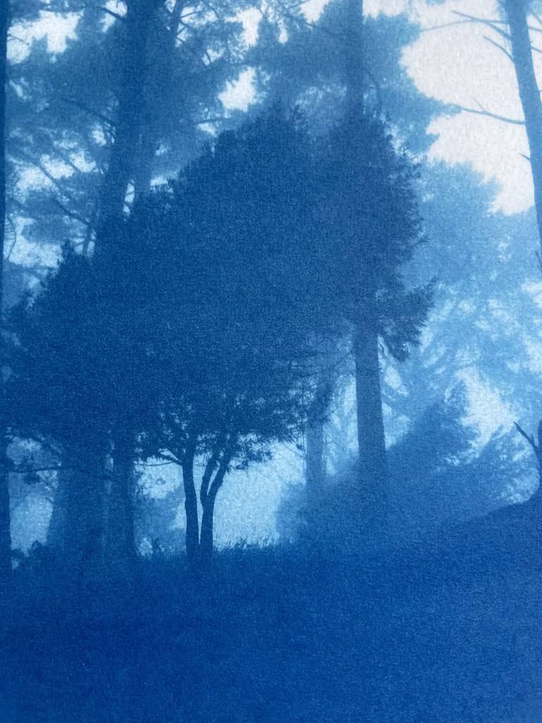 Original Fine Art Landscape Photography by Christine So