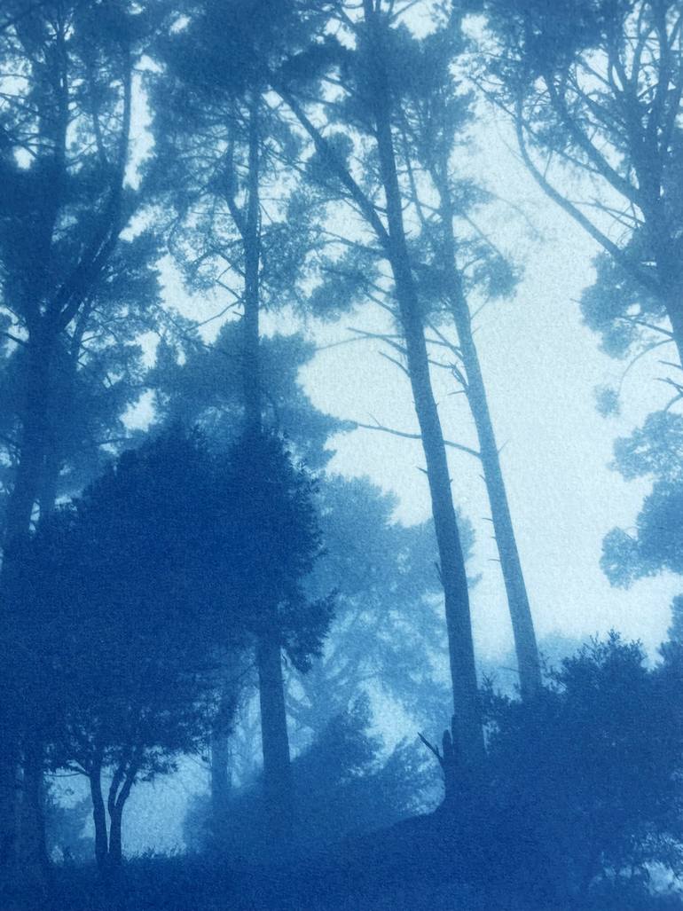 Original Fine Art Landscape Photography by Christine So