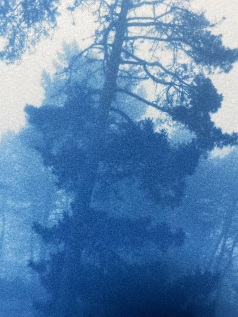 Original Other Landscape Photography by Christine So