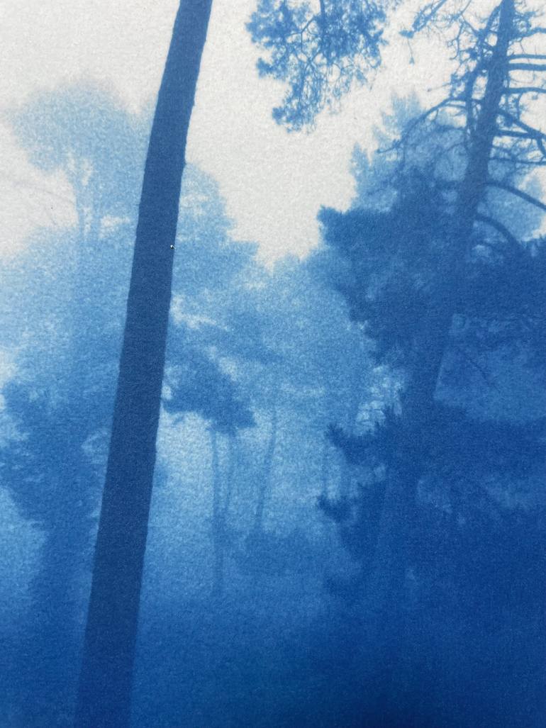 Original Other Landscape Photography by Christine So