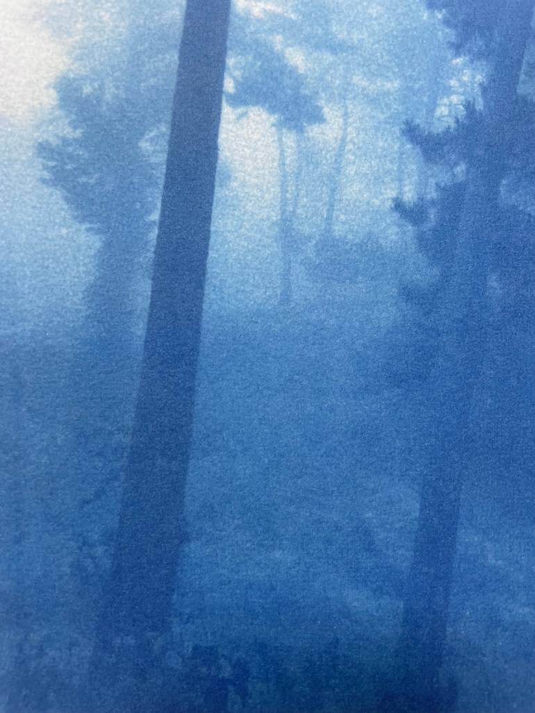 Original Other Landscape Photography by Christine So