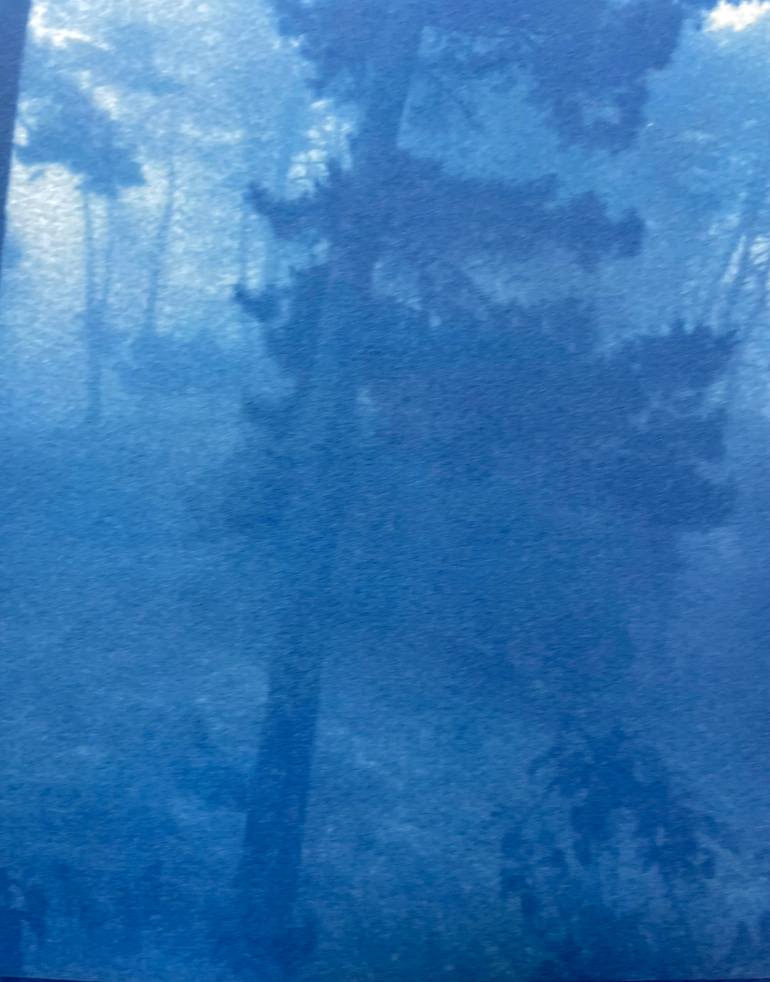 Original Other Landscape Photography by Christine So