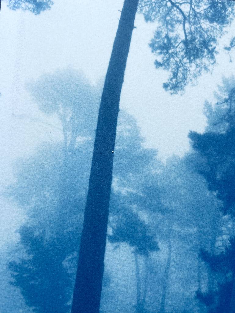 Original Other Landscape Photography by Christine So