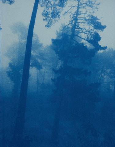 Original Fine Art Landscape Photography by Christine So