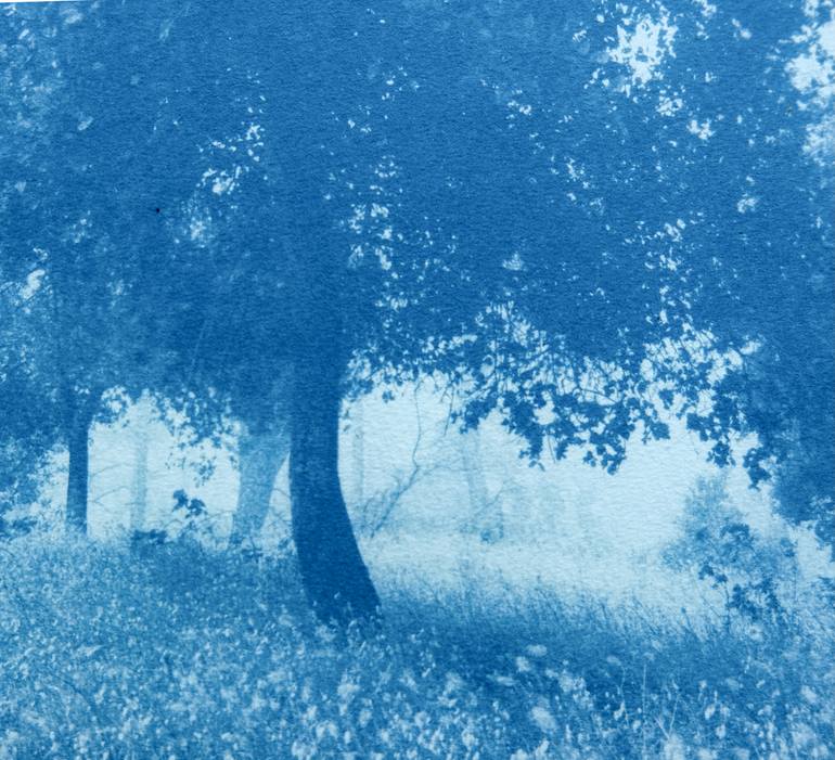 Original Realism Landscape Photography by Christine So