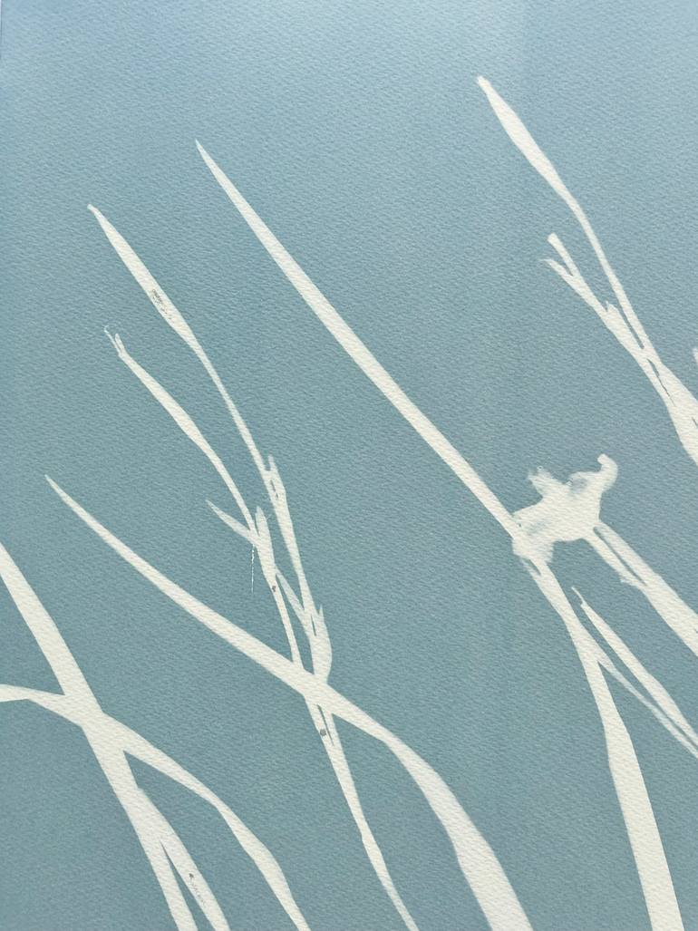 Original Contemporary Botanic Photography by Christine So