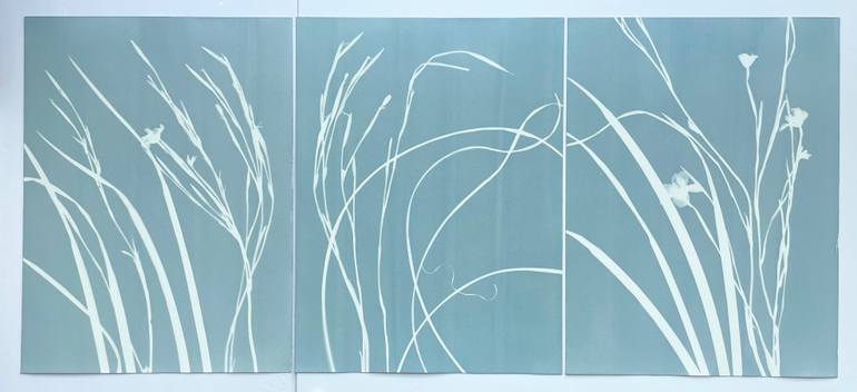 Original Contemporary Botanic Photography by Christine So