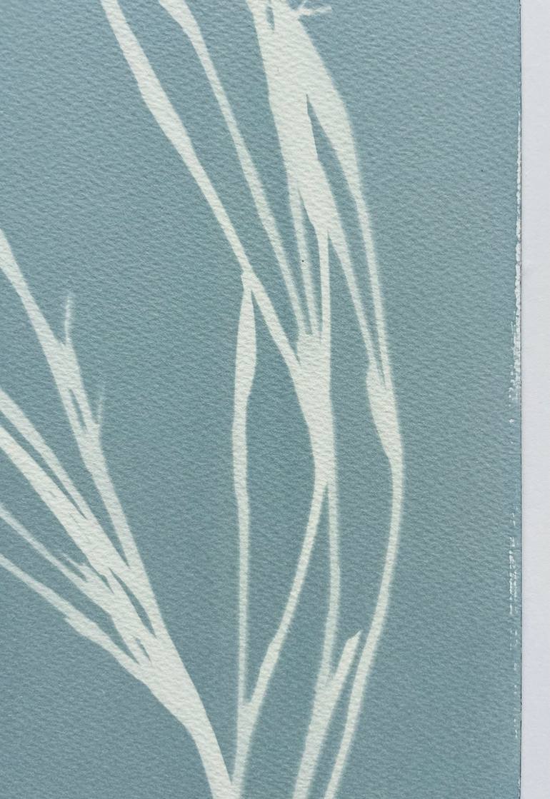 Original Contemporary Botanic Photography by Christine So