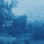 Fog Ridge, edition 2 of 3 (23 x 35 inches unframed) by Christine So