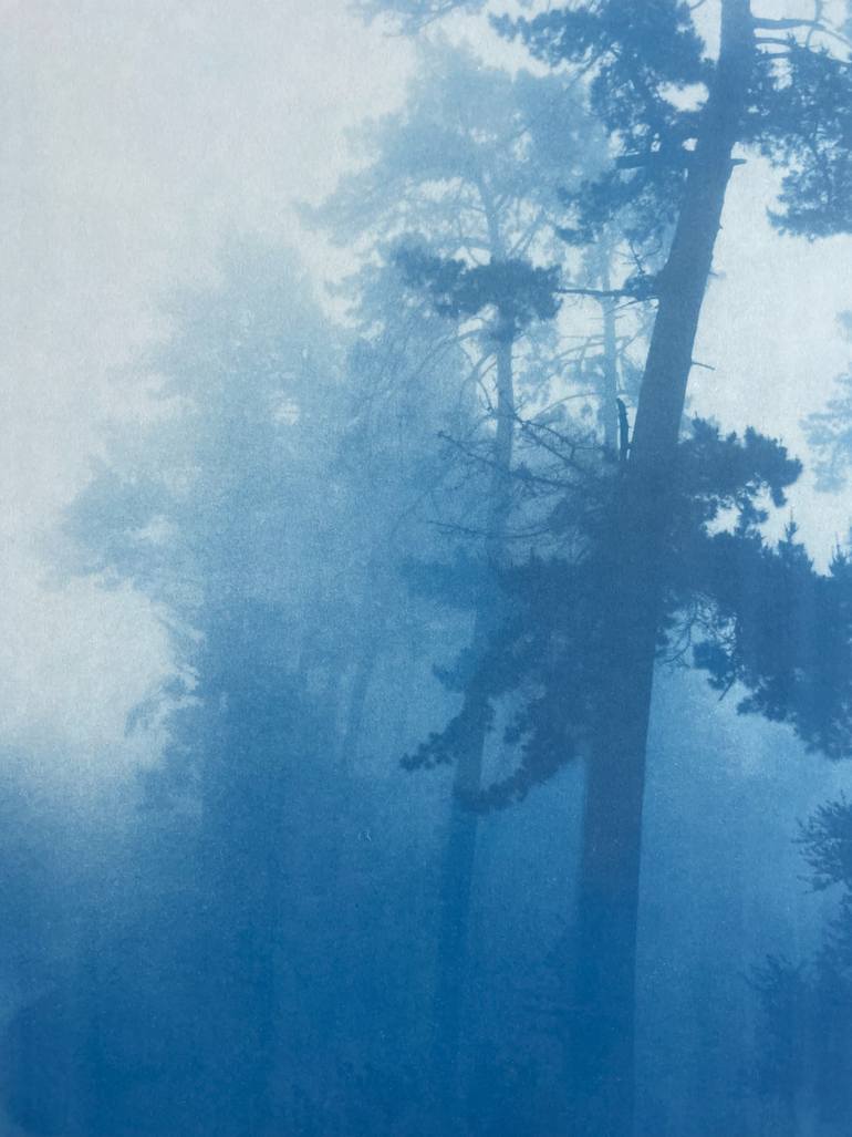 Original Realism Landscape Photography by Christine So