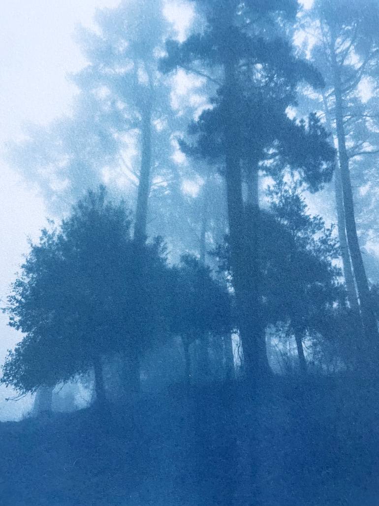 Original Realism Landscape Photography by Christine So