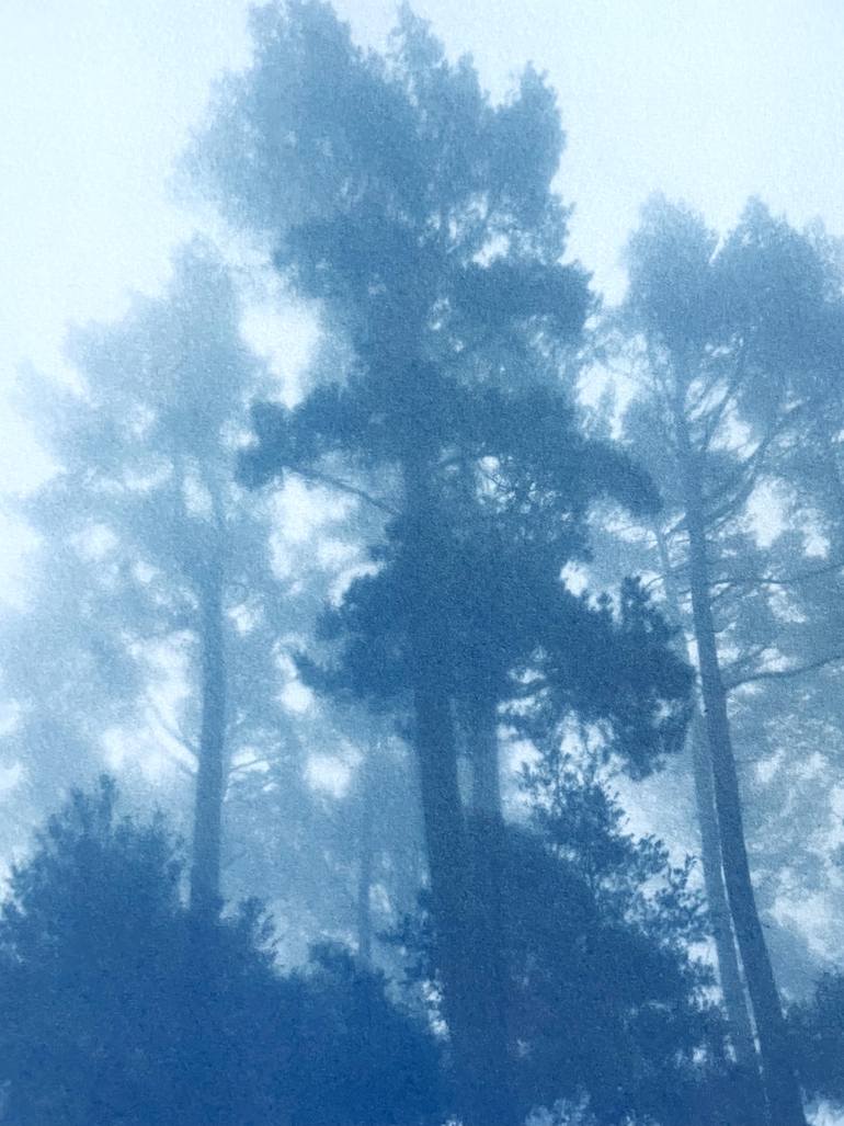 Original Realism Landscape Photography by Christine So