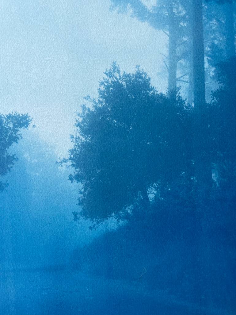Original Realism Landscape Photography by Christine So