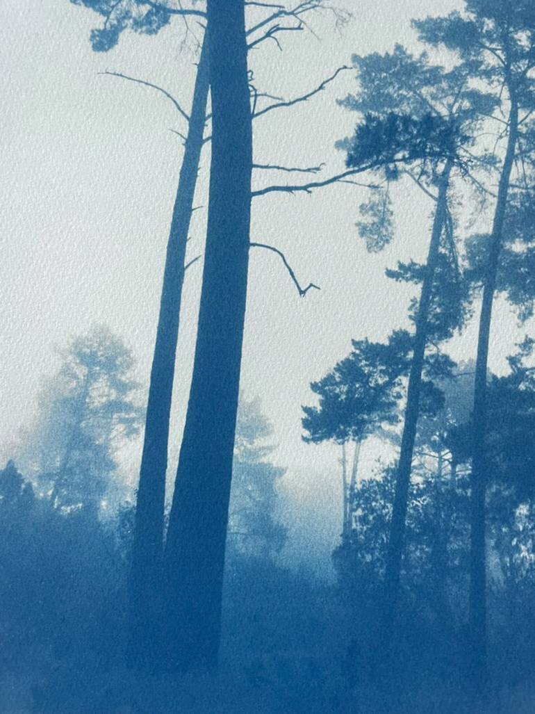 Original Antique Landscape Photography by Christine So