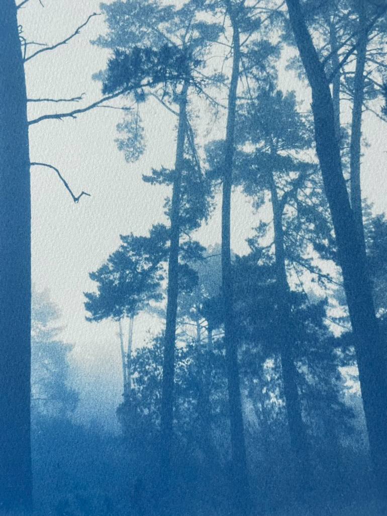 Original Antique Landscape Photography by Christine So