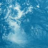 The Path Home II (9.5 x 17 inches) by Christine So