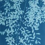 Chinese Elm IV by Christine So