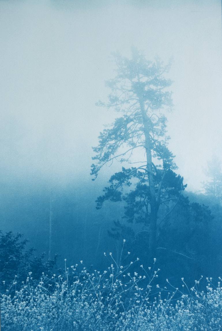 Original Landscape Photography by Christine So | Realism Art on Paper | Wildflowers and Pines II (24 x 16 in.)