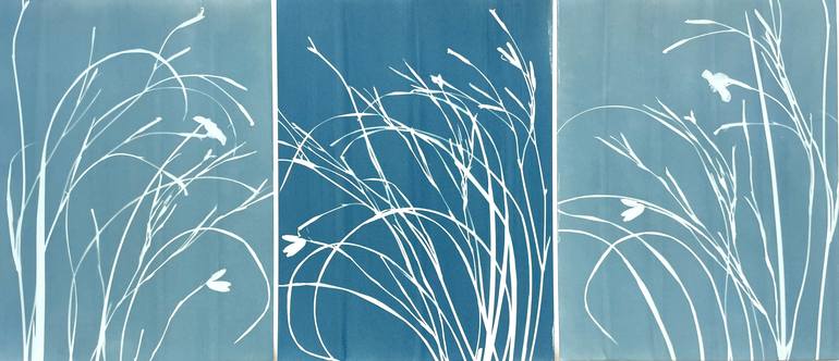 Original Botanic Photography by Christine So | Contemporary Art on Paper | Silver and Blue Iris Triptych (24 x 54 inches)