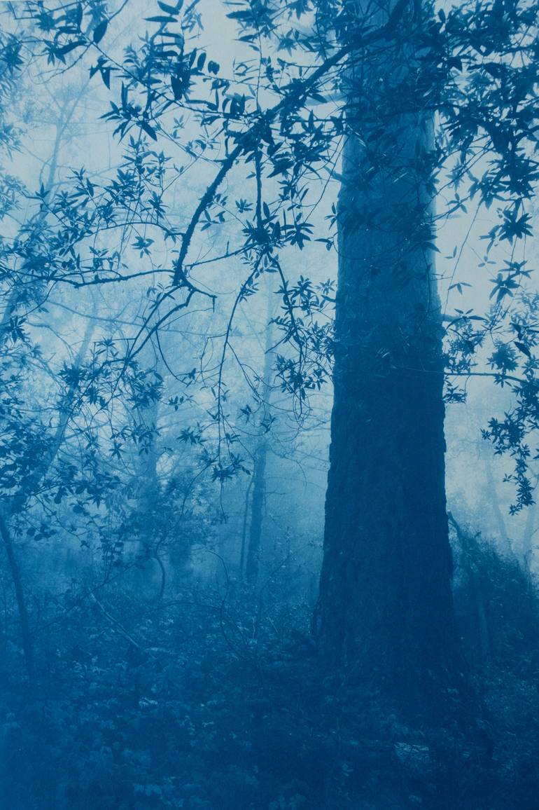 Original Landscape Photography by Christine So | Realism Art on Paper | The Forest Beckons (24 x 16 in.)