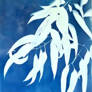 Collection Botanical Cyanotypes (All sizes)