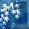 Collection Botanical Cyanotypes (All sizes)
