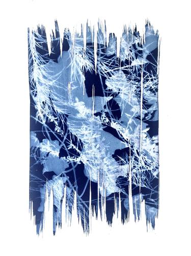 Print of Abstract Nature Printmaking by Christine So