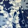 Collection Large 18" x 24" Cyanotypes (45 x 60 cm)