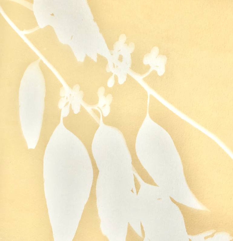 Original minimalist Botanic Printmaking by Christine So