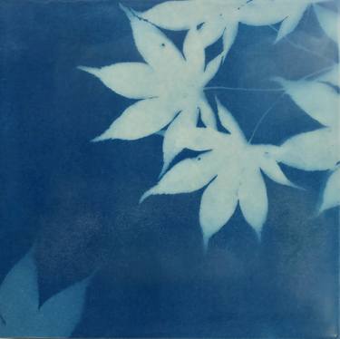 Japanese Maple Cyanotype Encaustic Collage - Limited Edition of 1 thumb