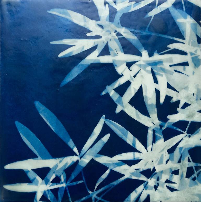 Cyanotype Impressions of the Atlantic Ocean in Maine - The Maine Journal of  Conservation and Sustainability - University of Maine