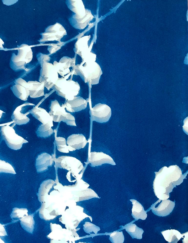 Original Impressionism Botanic Printmaking by Christine So