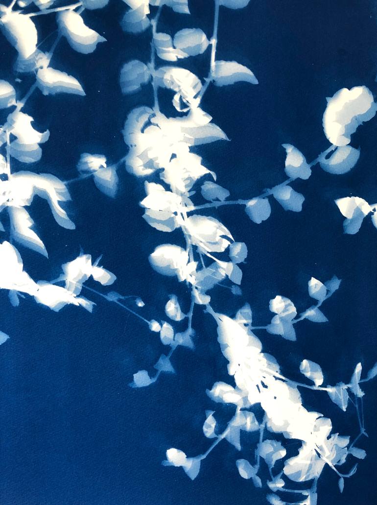 Original Impressionism Botanic Printmaking by Christine So