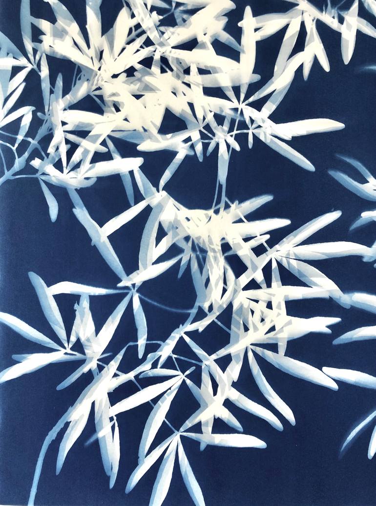 Original Abstract Nature Photography by Christine So