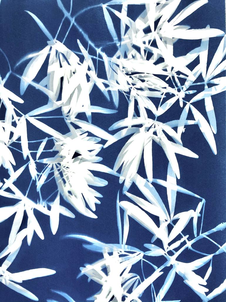 Original Abstract Nature Photography by Christine So