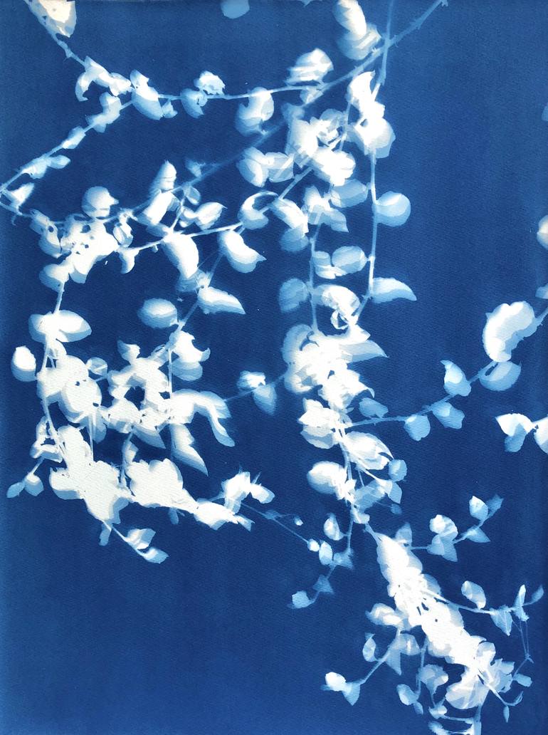 Original Figurative Botanic Photography by Christine So