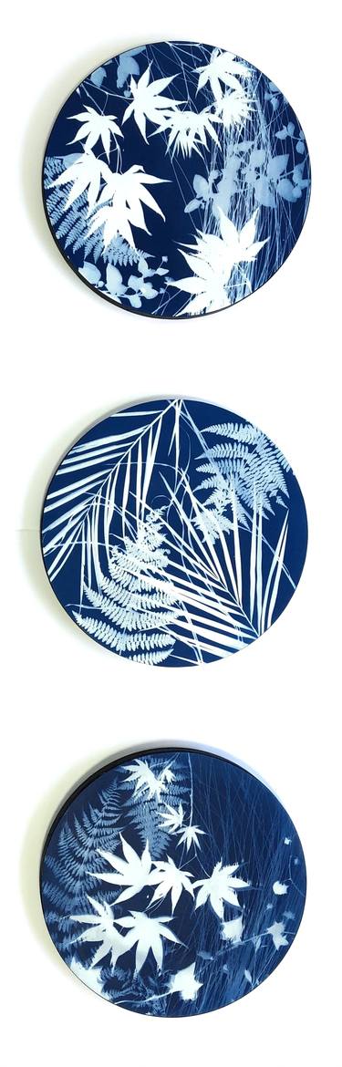 Zen Spring Triptych: 3 Round Cyanotypes on Panels - Limited Edition of 1 thumb