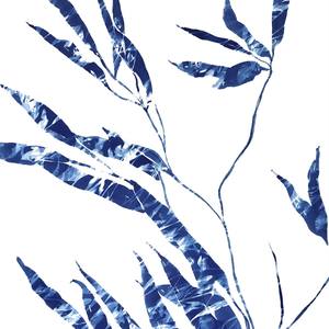 Collection Delft Garden: Cyanotype Patterns Printed inside Paintings