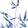 Collection Delft Garden: Cyanotype Patterns Printed inside Paintings