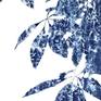 Collection Delft Garden: Cyanotype Patterns Printed inside Paintings