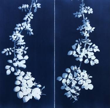 Wild Rose Diptych - Limited Edition of 1 thumb