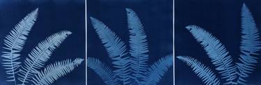 Blue Ferns Triptych - Limited Edition of 1 thumb