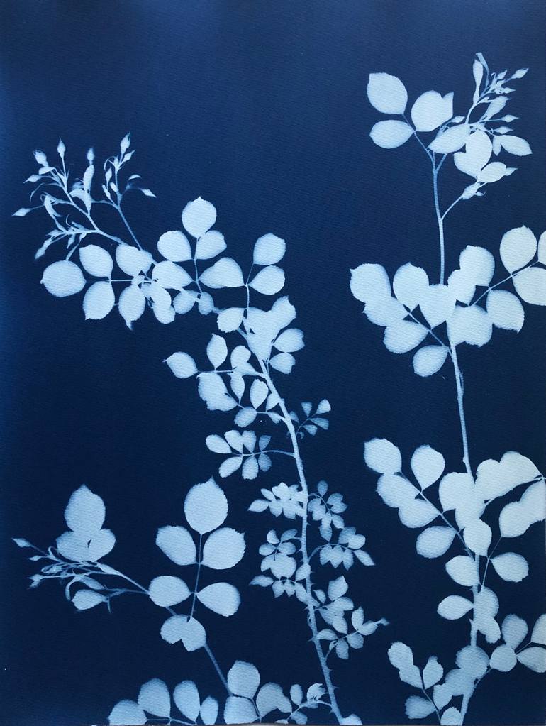 Original Figurative Floral Photography by Christine So