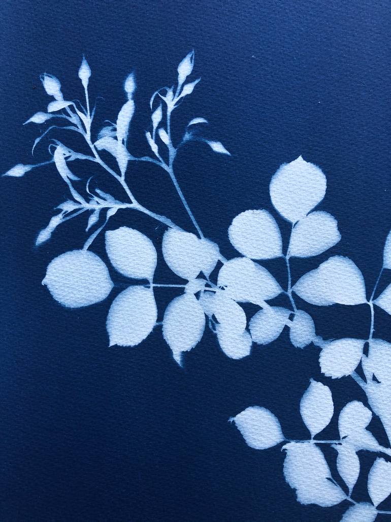 Original Figurative Floral Photography by Christine So