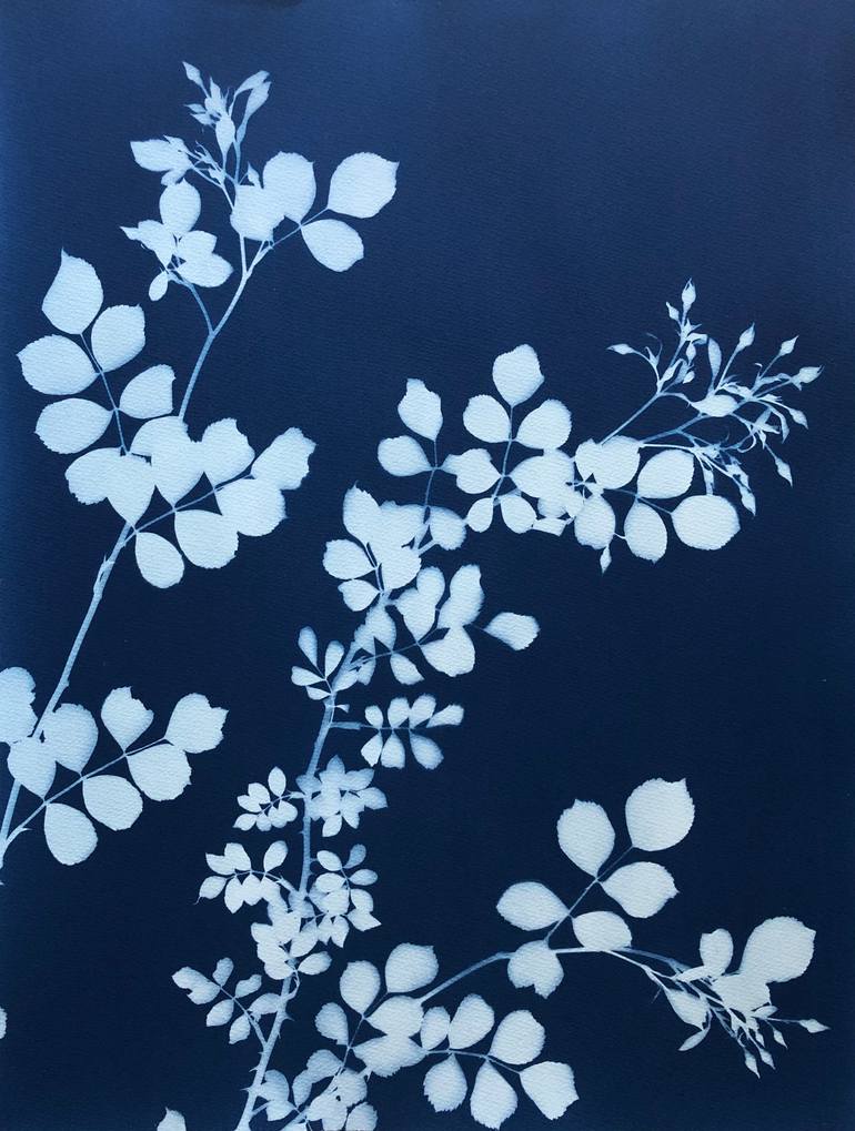 Original Figurative Floral Photography by Christine So