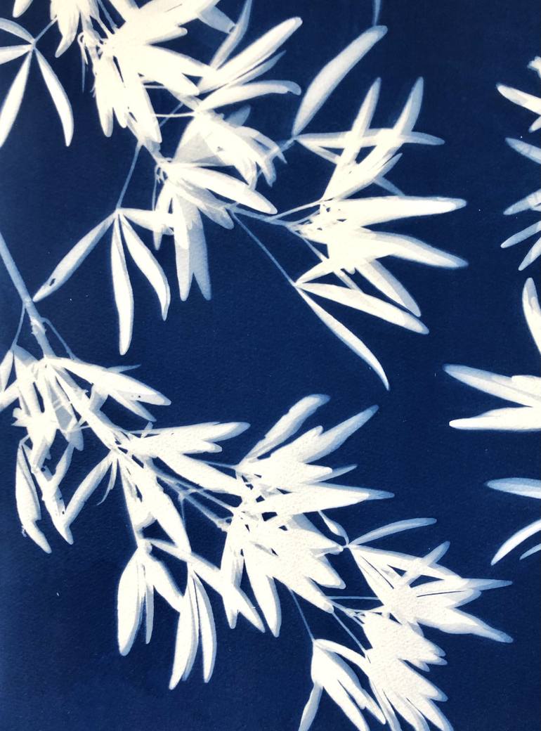 Original Abstract Botanic Photography by Christine So