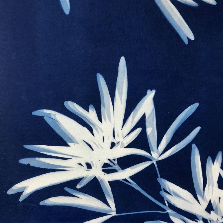 Original Minimalism Botanic Photography by Christine So