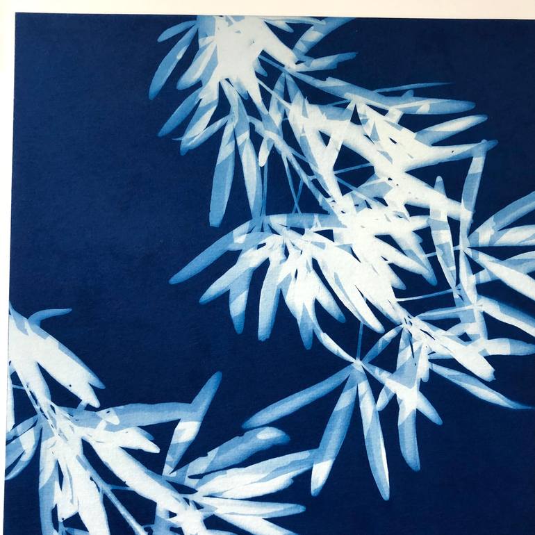 Original Minimalism Botanic Photography by Christine So